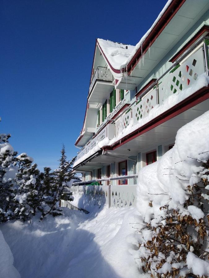Gasthaus Friedegg Вильдхаус Экстерьер фото
